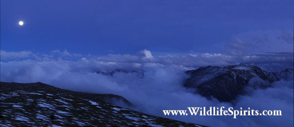 Click Picture to send as an  E-PostCard 28k 600x261